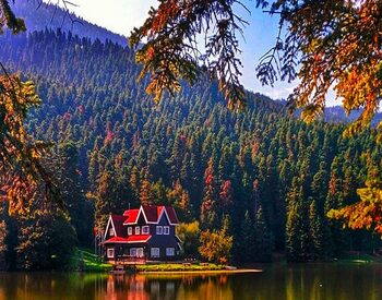 Bolu
