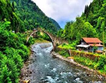 Rize